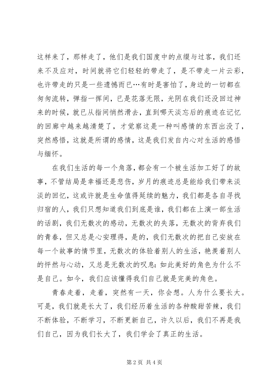 2023年纪念我们无处安放的青春抒情散文.docx_第2页