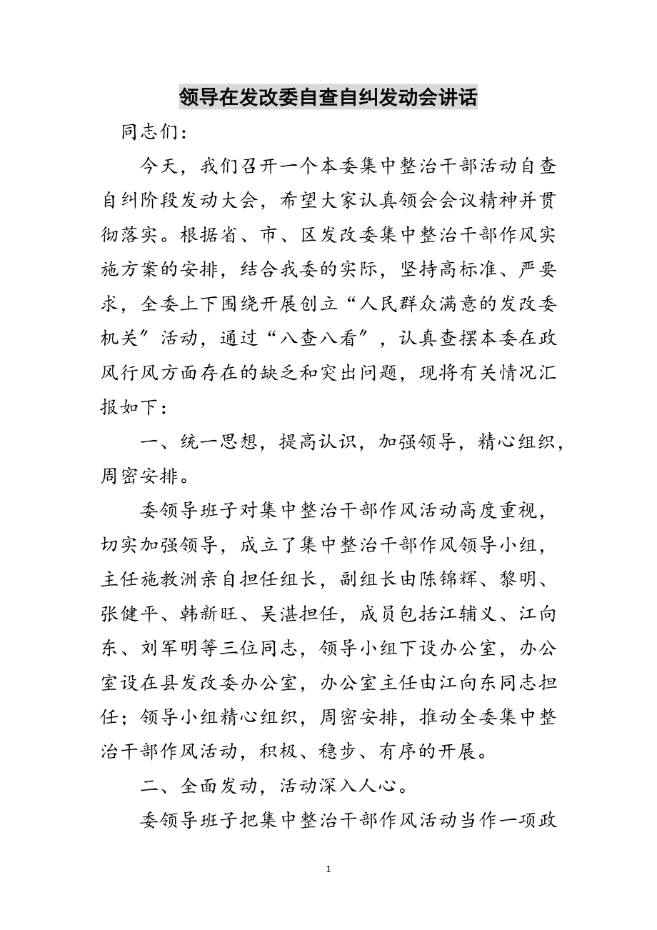 2023年领导在发改委自查自纠动员会讲话范文.doc_第1页