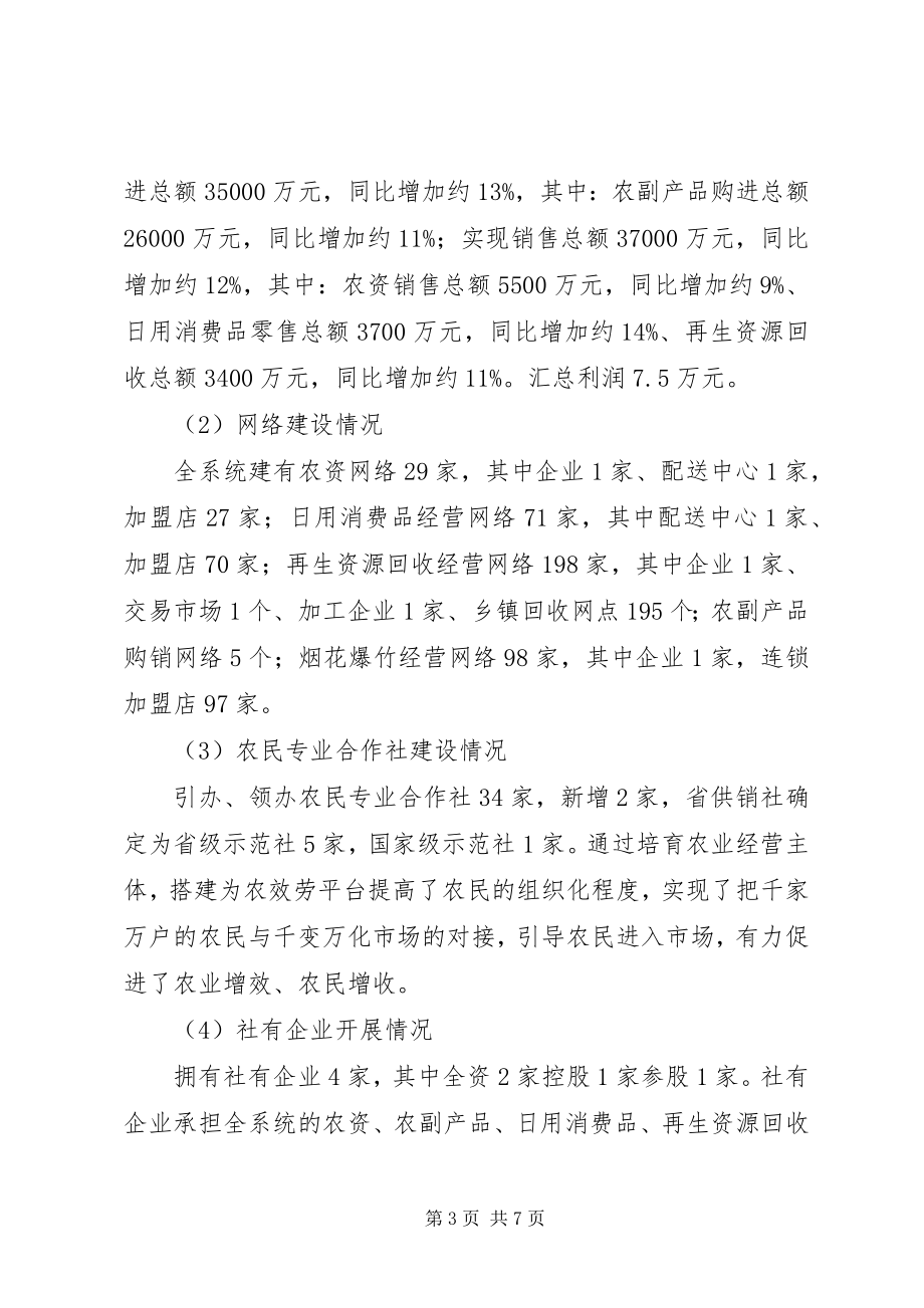 2023年供销合作社某年工作总结.docx_第3页