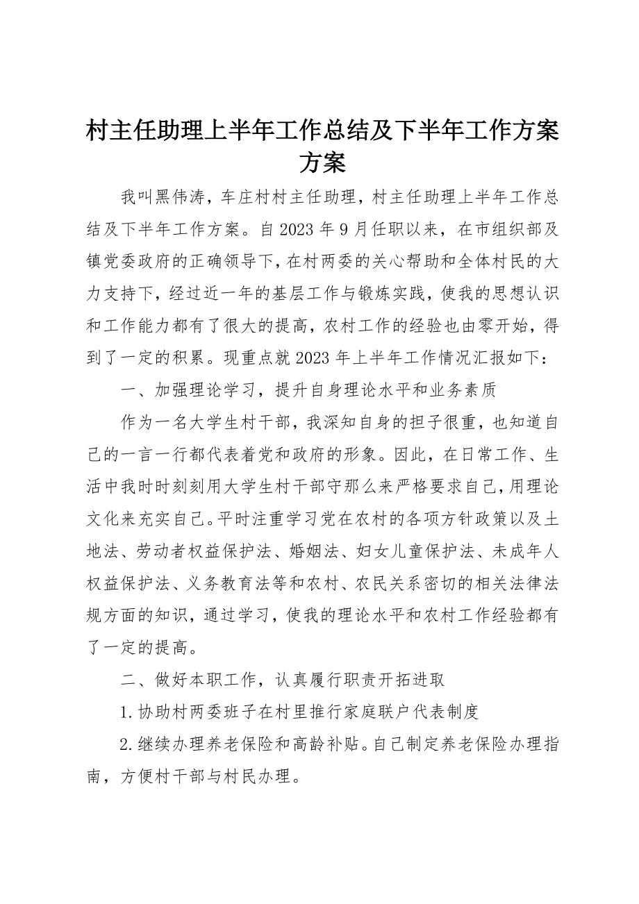 2023年村主任助理上半年工作总结及下半年工作计划计划新编.docx_第1页