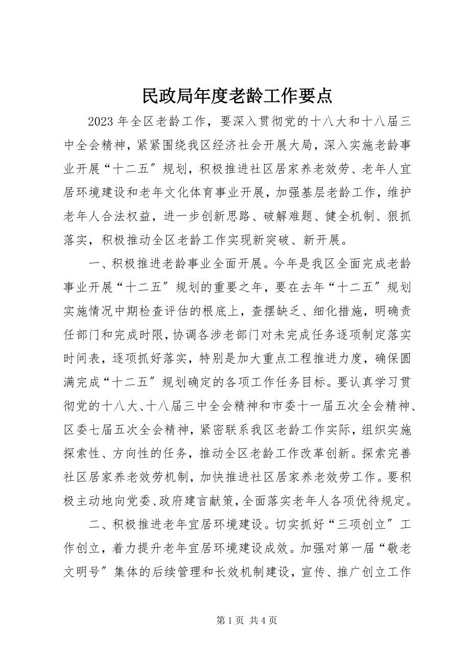 2023年民政局度老龄工作要点.docx_第1页