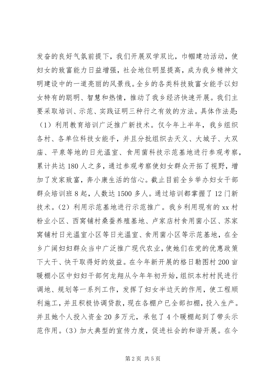 2023年某某乡妇联工作总结.docx_第2页