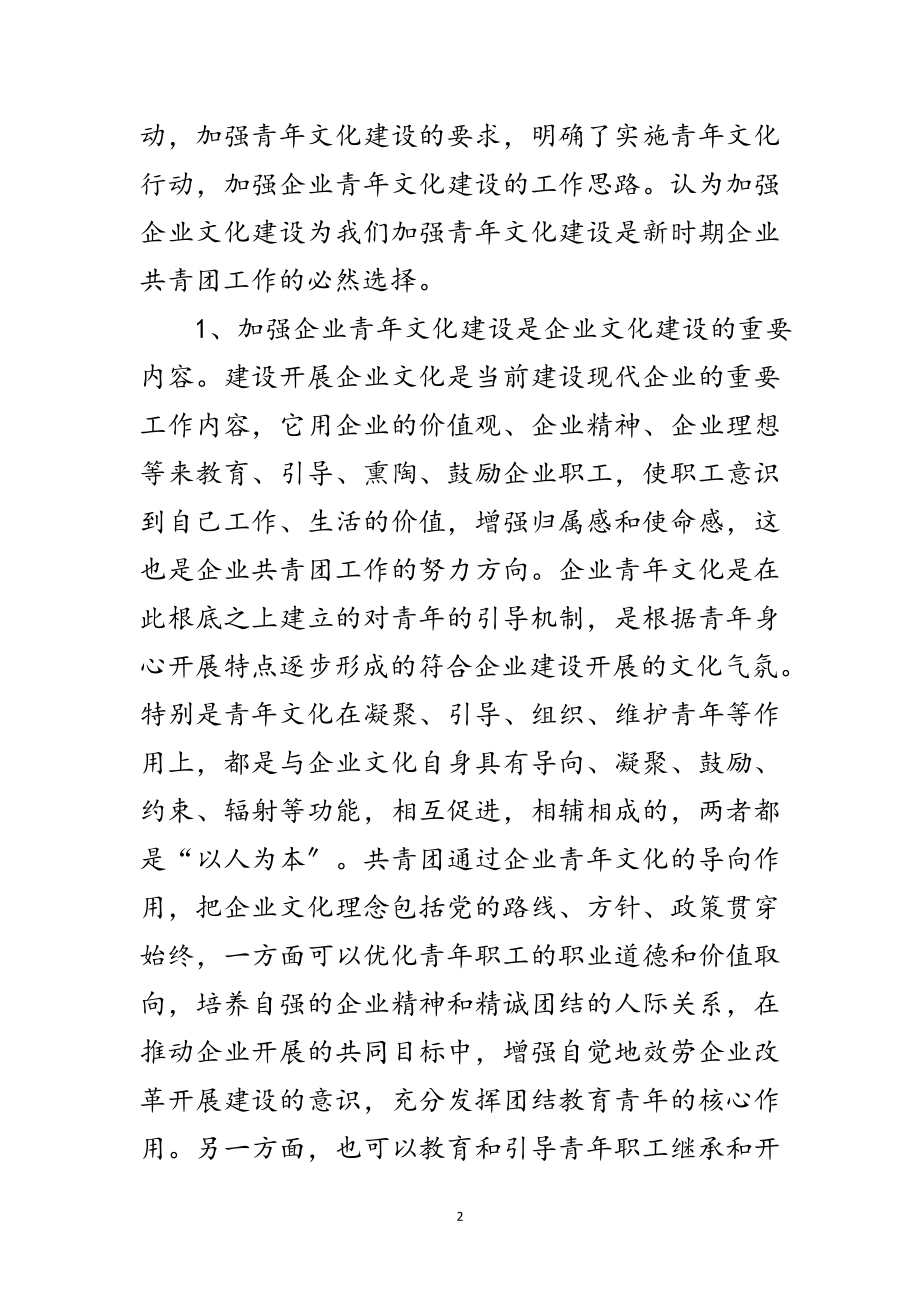 2023年青年文化建设的探索和实践范文.doc_第2页