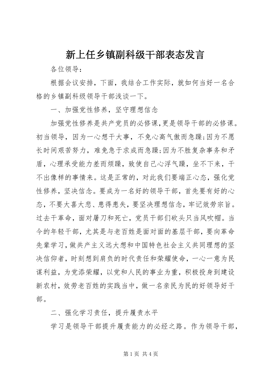 2023年新上任乡镇副科级干部表态讲话.docx_第1页