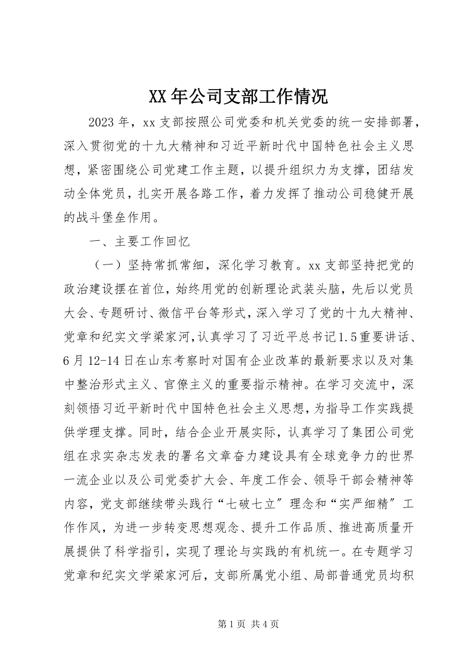 2023年公司支部工作情况.docx_第1页