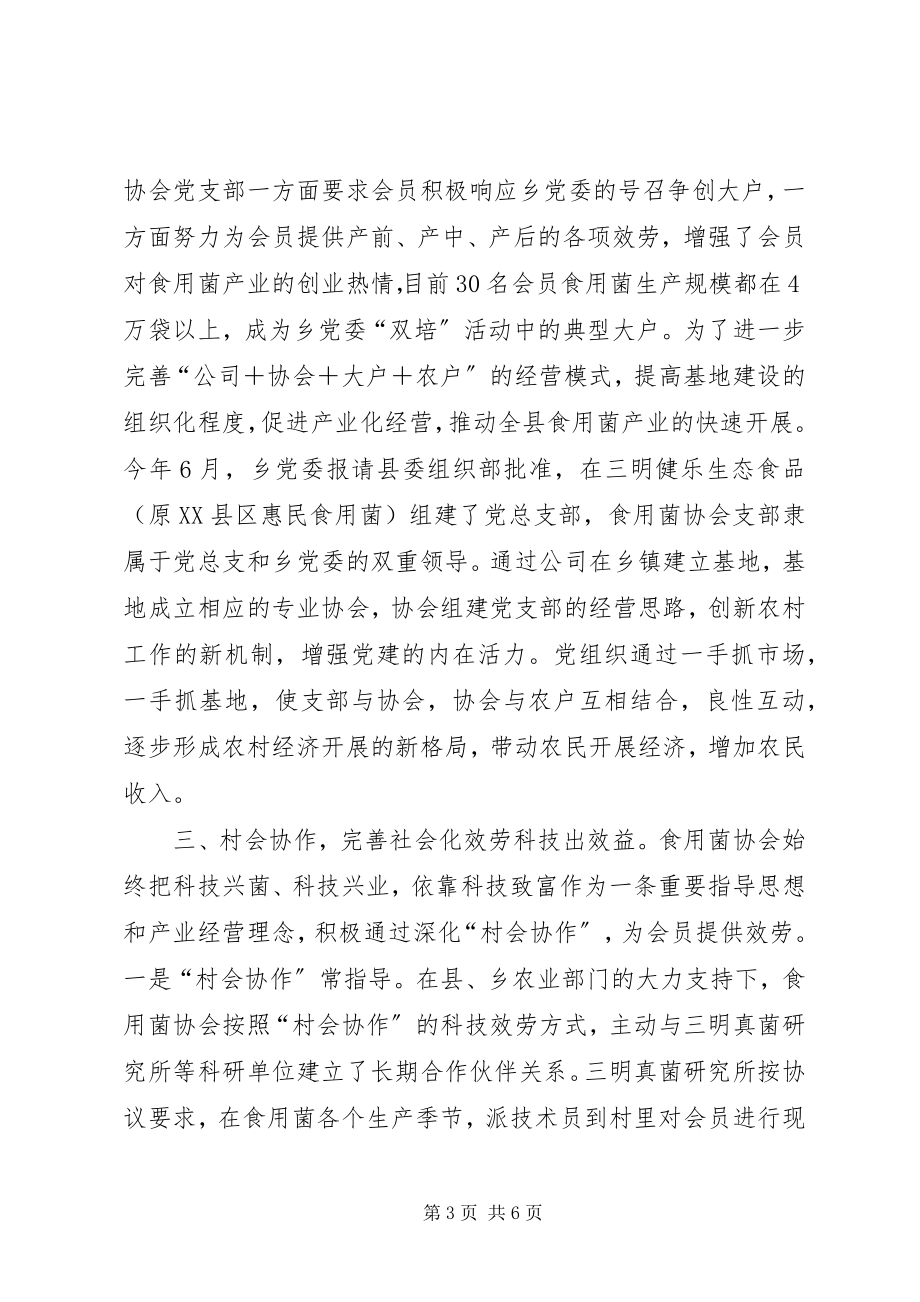 2023年乡镇党委基层组织创新工作汇报材料汇报材料新编.docx_第3页