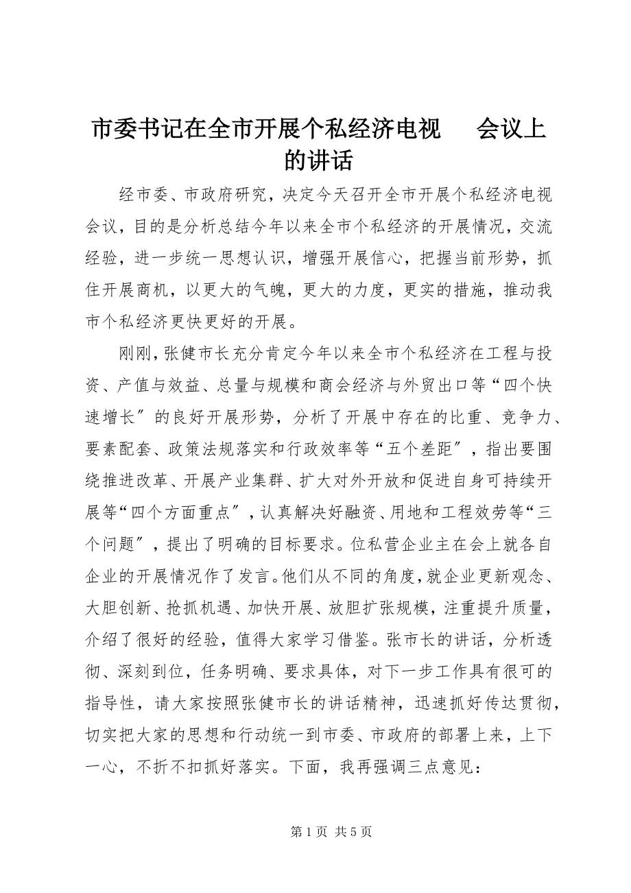 2023年市委书记在全市发展个私经济电视电话会议上的致辞.docx_第1页