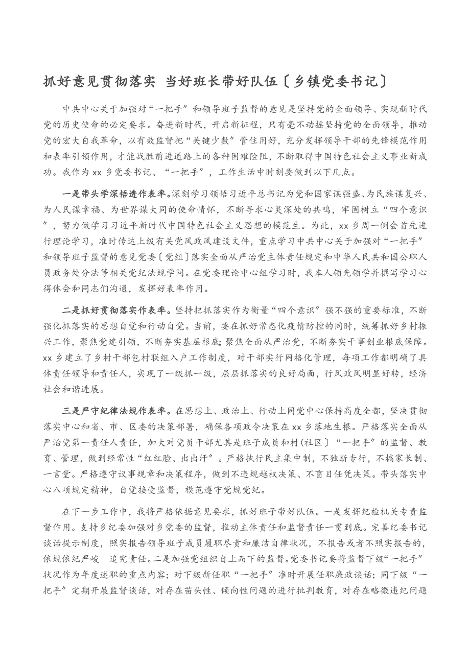 2023年抓好《意见》贯彻落实 当好班长带好队伍乡镇党委书记.doc_第1页