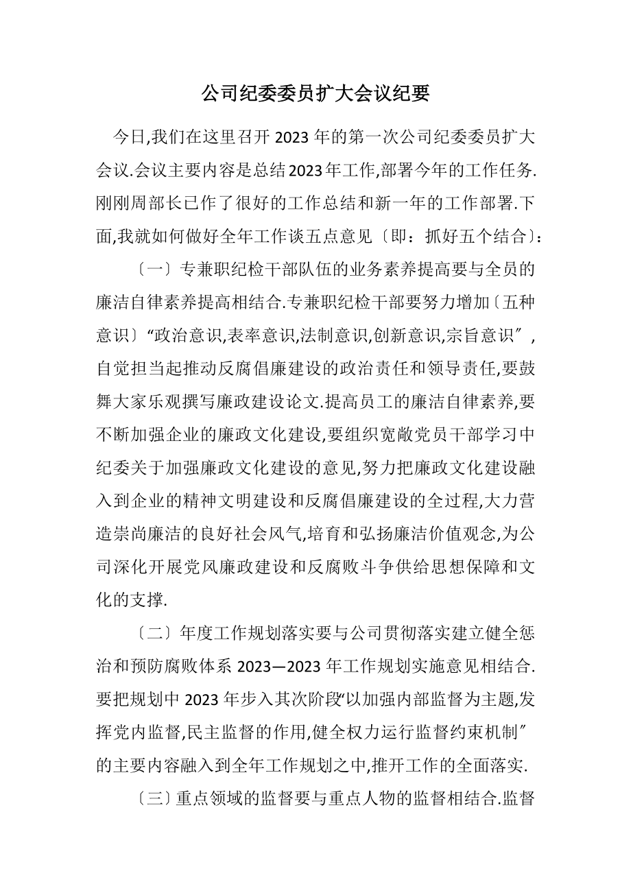 2023年公司纪委委员扩大会议纪要.docx_第1页