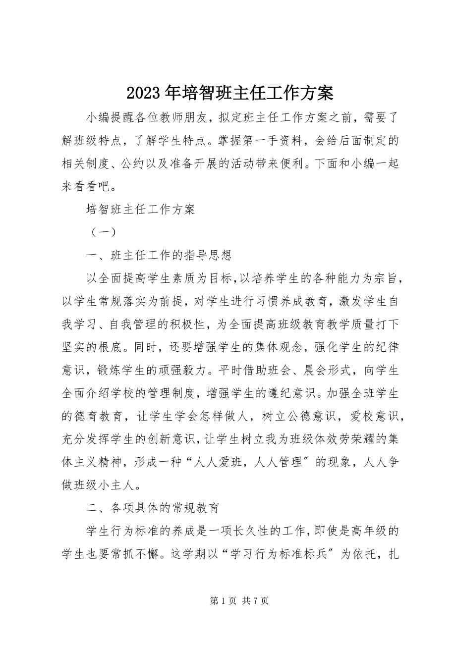 2023年培智班主任工作计划.docx_第1页