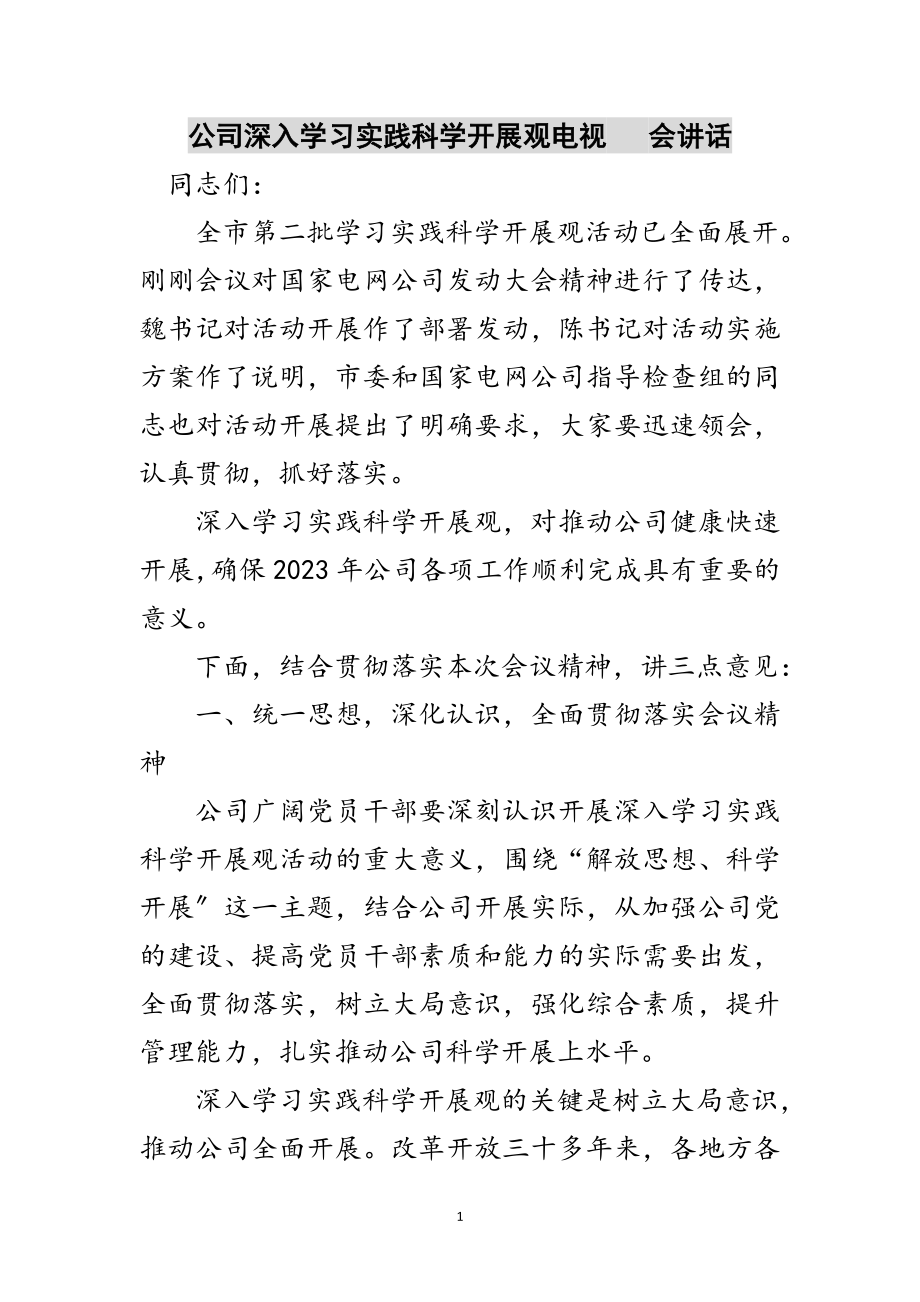 2023年公司深入学习实践科学发展观电视电话会讲话范文.doc_第1页