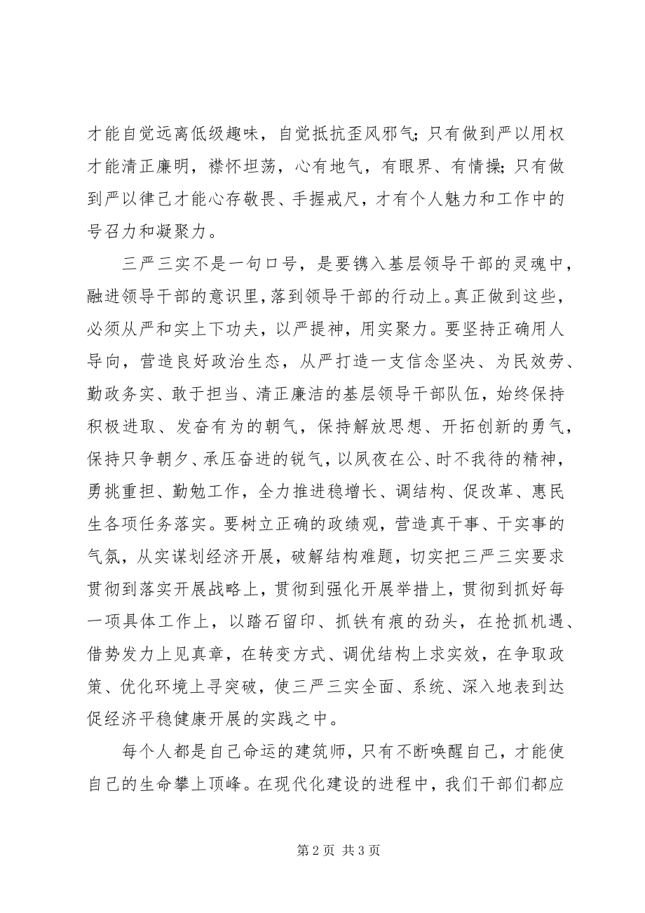 2023年三严三实学习体会从严从实加强基层干部作风建设.docx_第2页