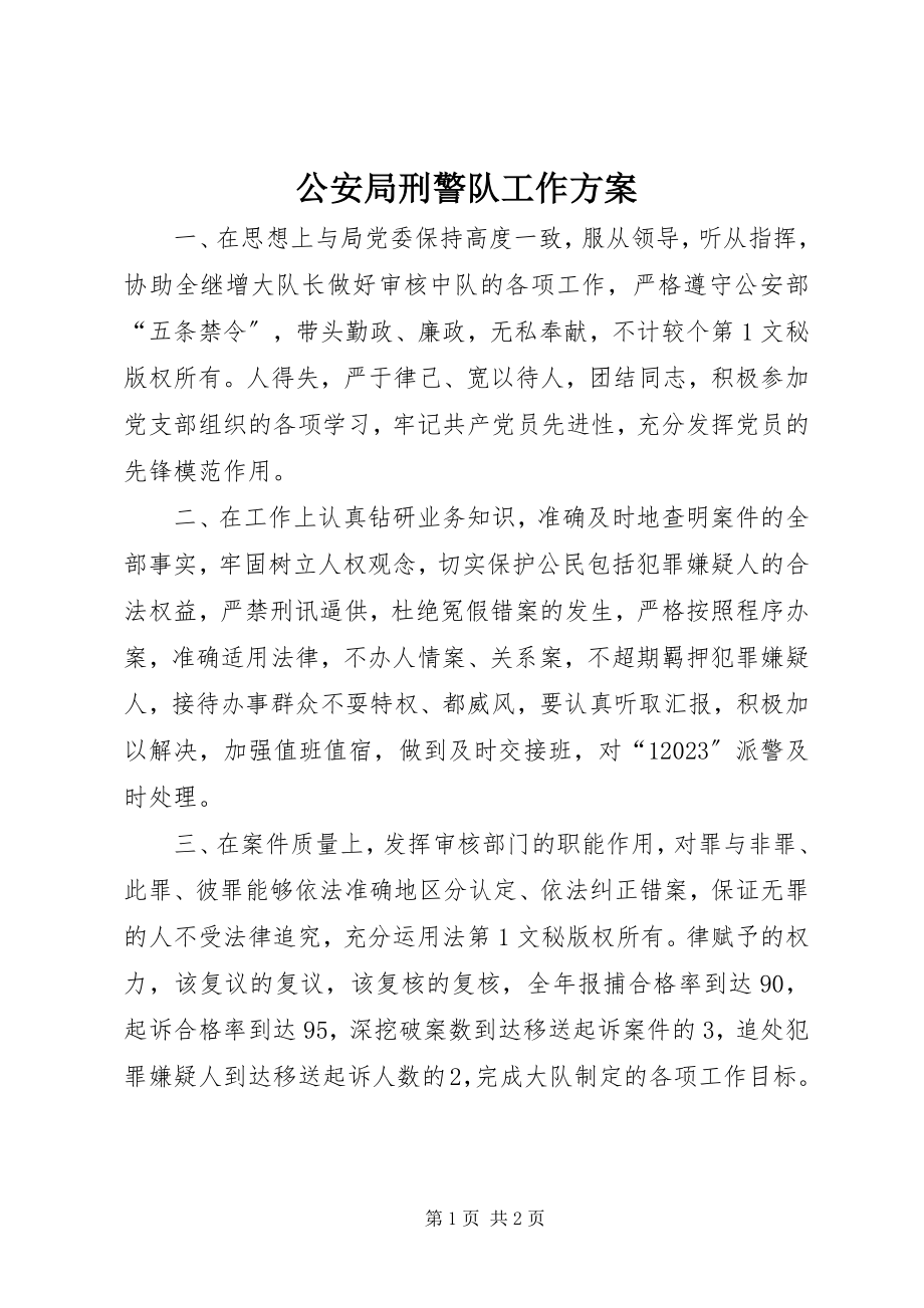 2023年公安局刑警队工作计划.docx_第1页