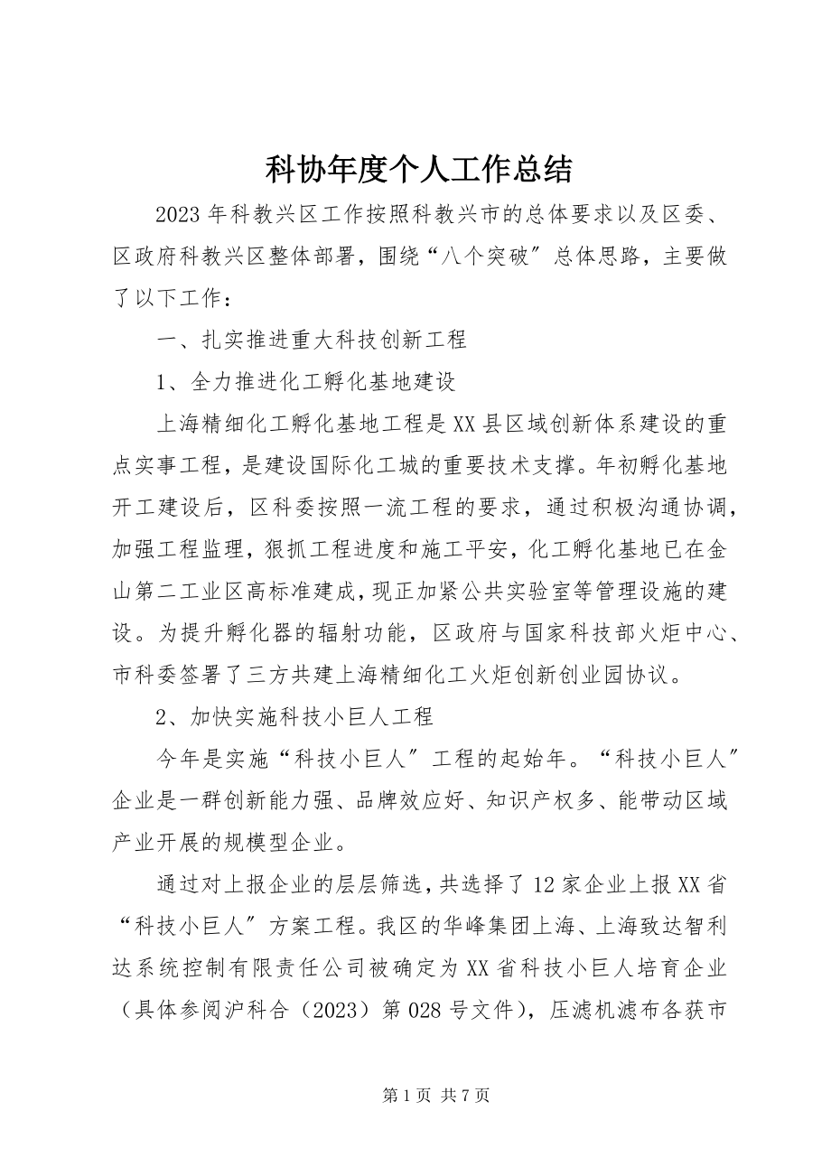 2023年科协度个人工作总结.docx_第1页