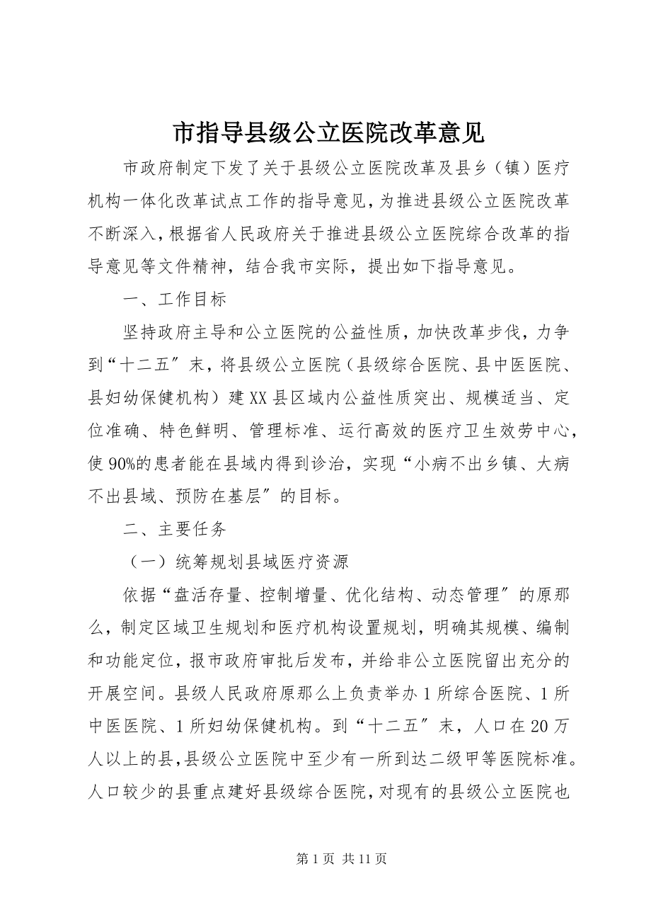 2023年市指导县级公立医院改革意见.docx_第1页