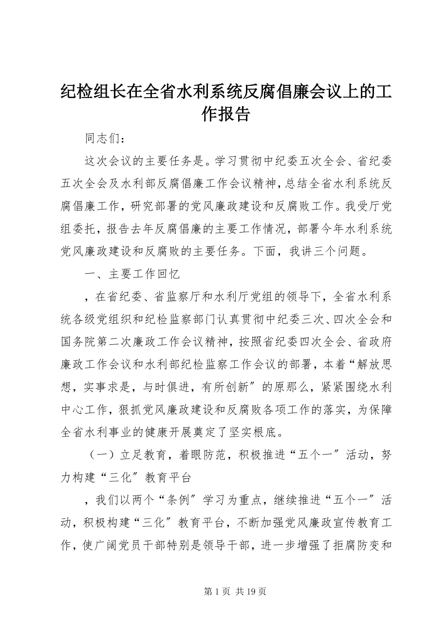 2023年纪检组长在全省水利系统反腐倡廉会议上的工作报告.docx_第1页