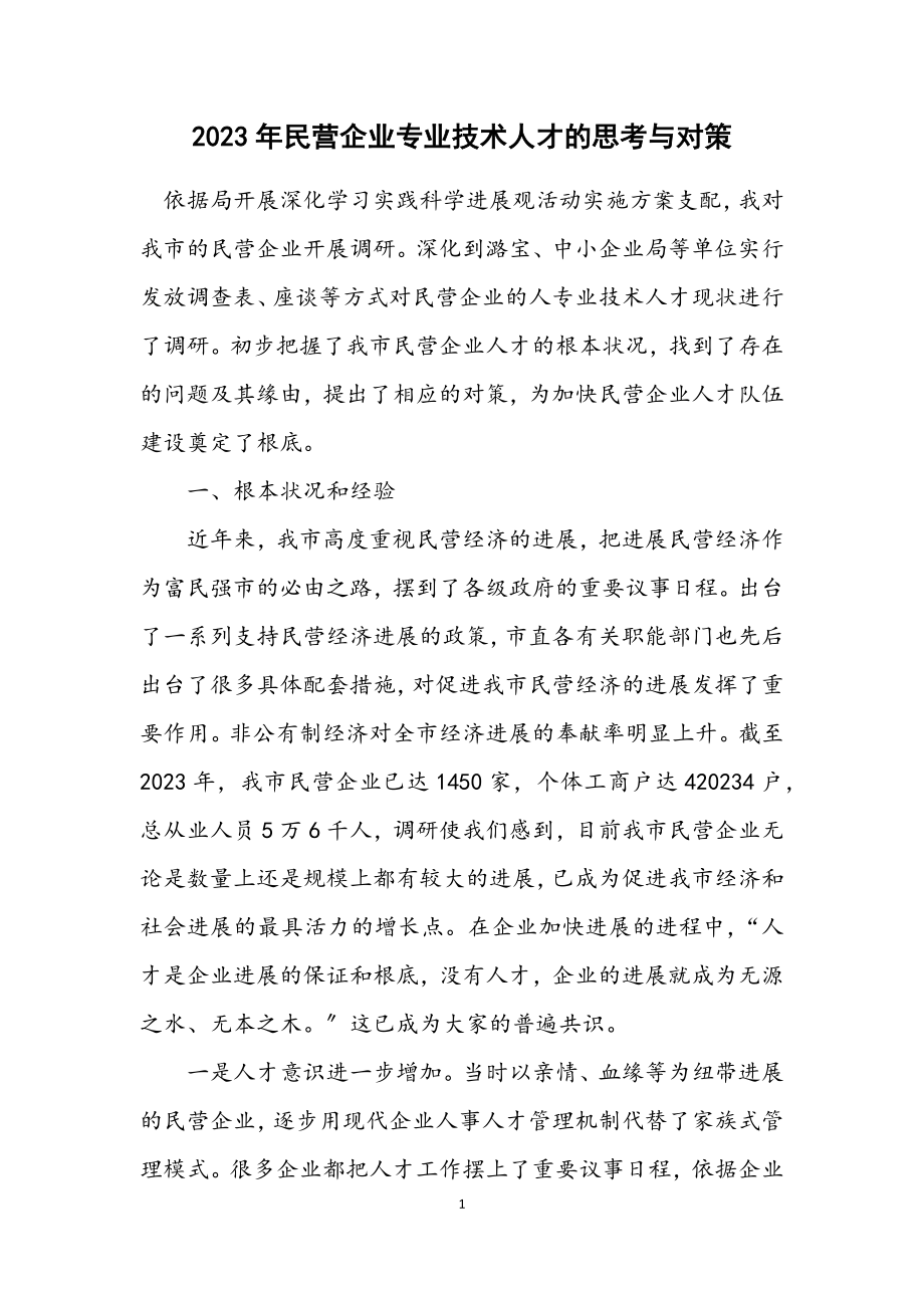 2023年民营企业专业技术人才的思考与对策.docx_第1页