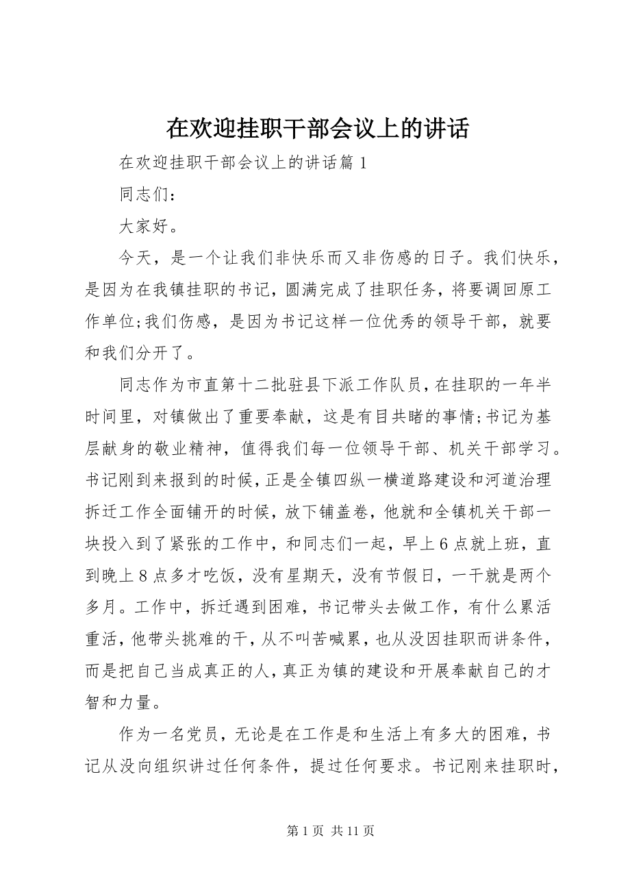 2023年在欢送挂职干部会议上的讲话.docx_第1页