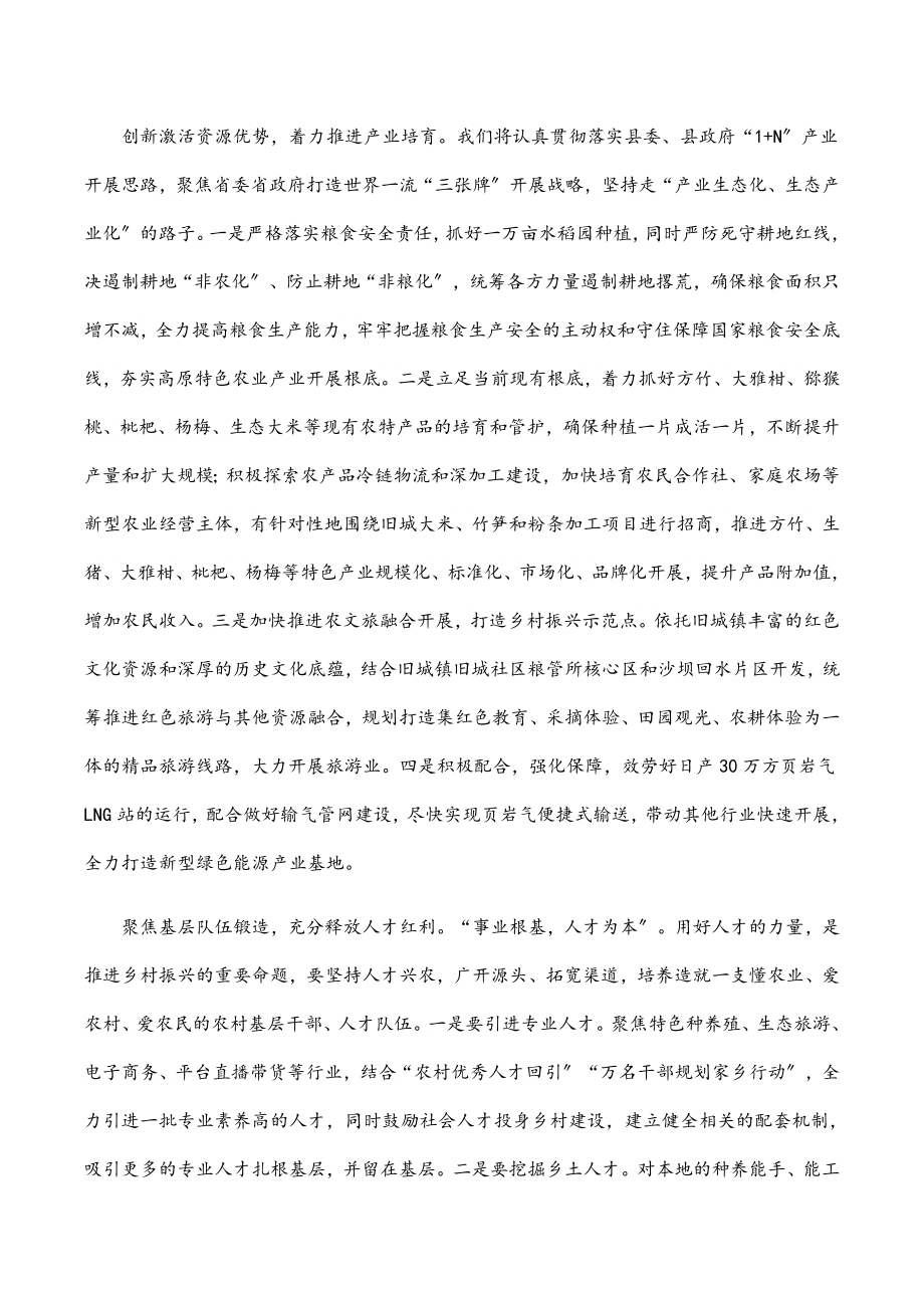 在乡村振兴大会上的表态发言.docx_第2页