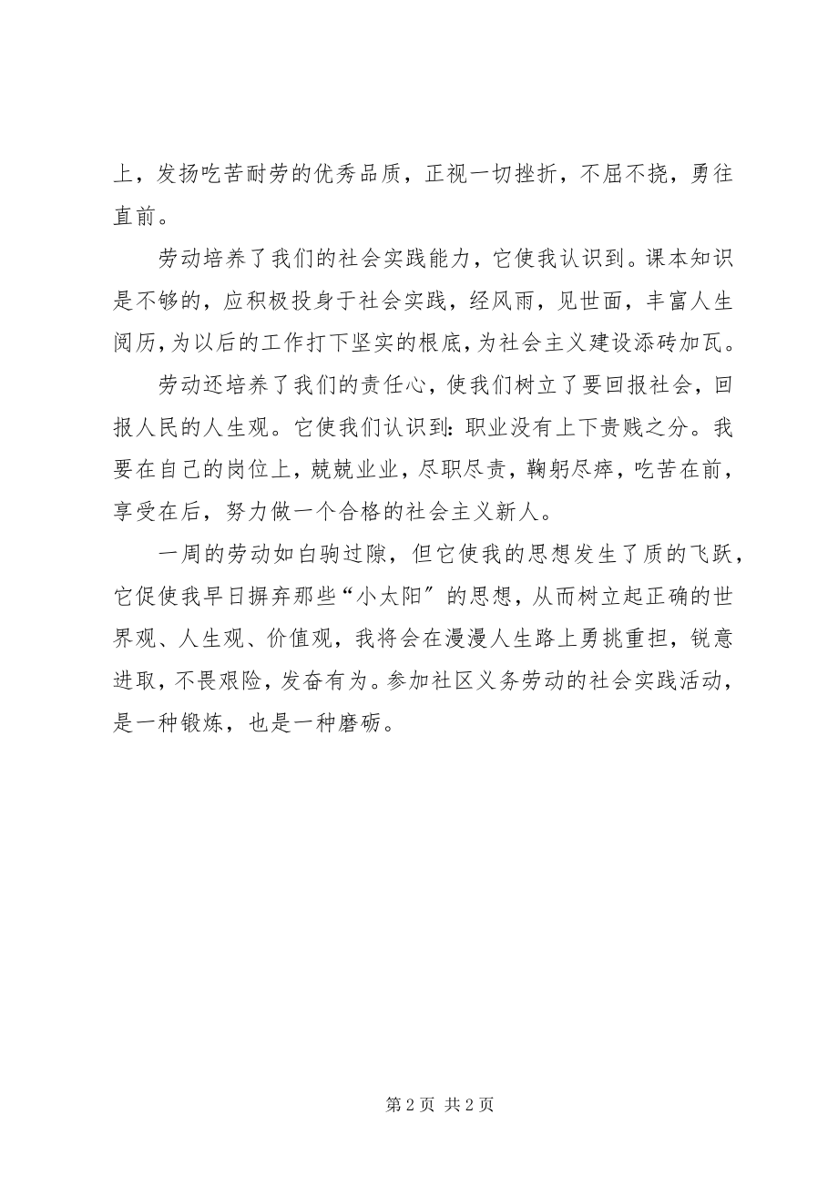 2023年义务劳动实践汇报材料.docx_第2页