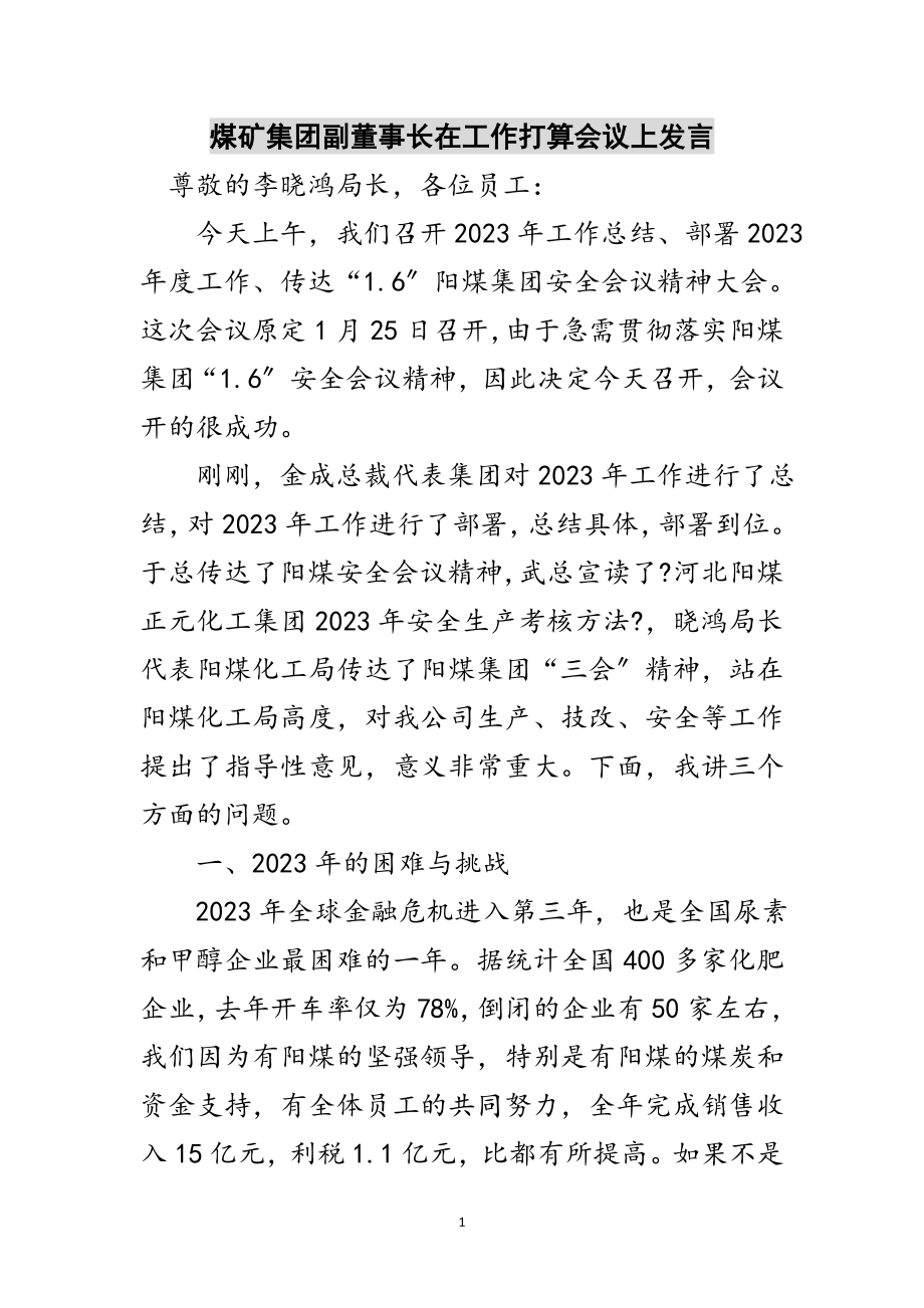 2023年煤矿集团副董事长在工作打算会议上发言范文.doc_第1页