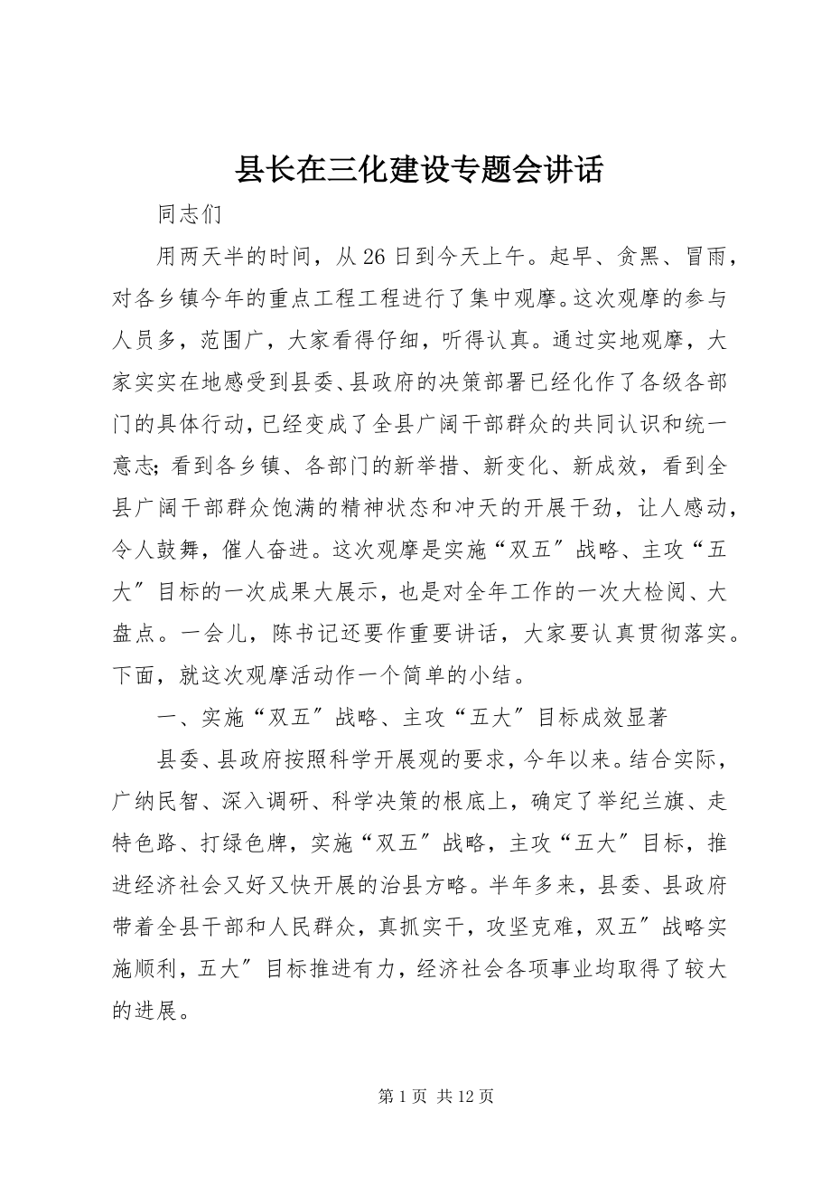 2023年县长在三化建设专题会致辞.docx_第1页