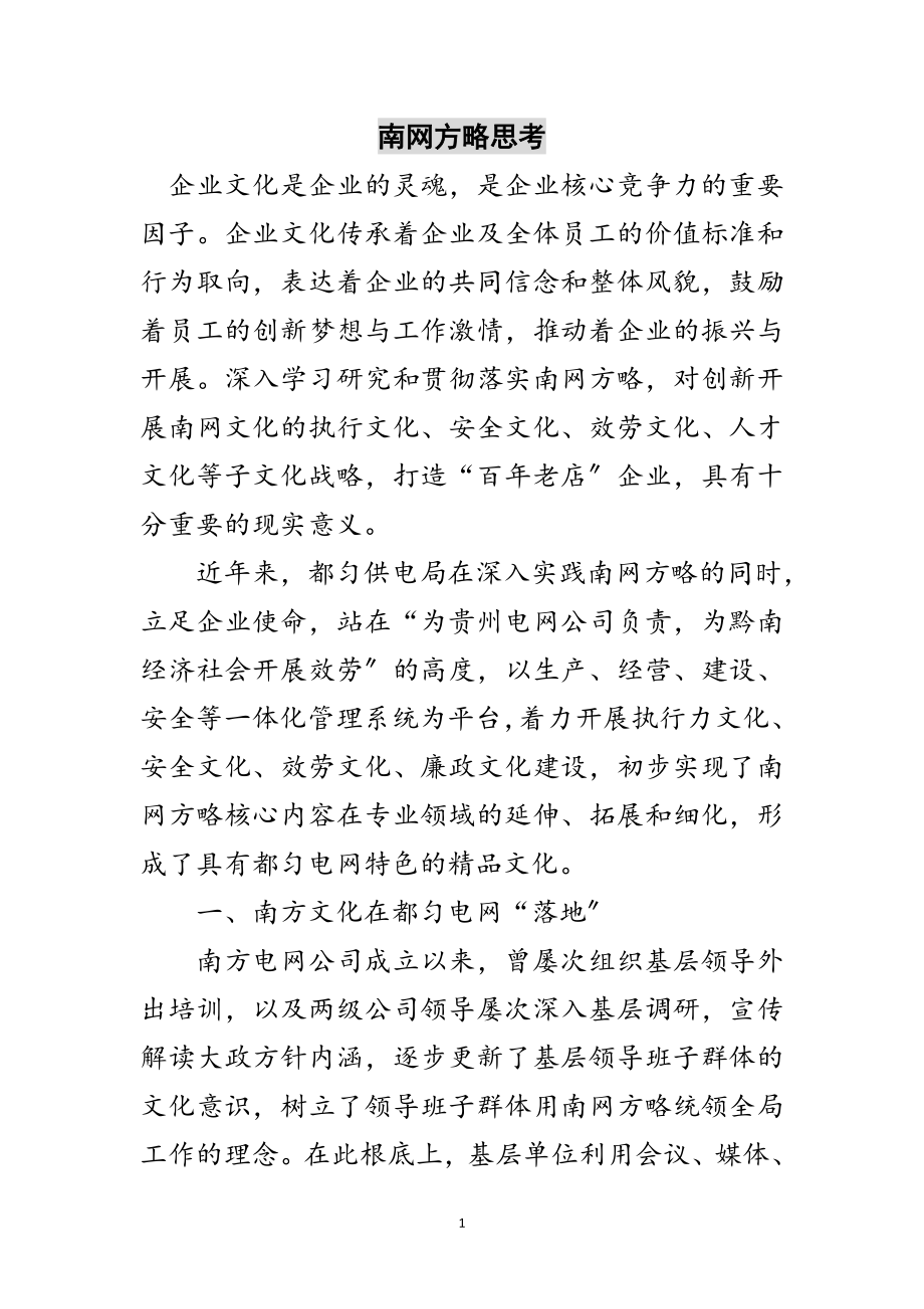 2023年南网方略思考范文.doc_第1页