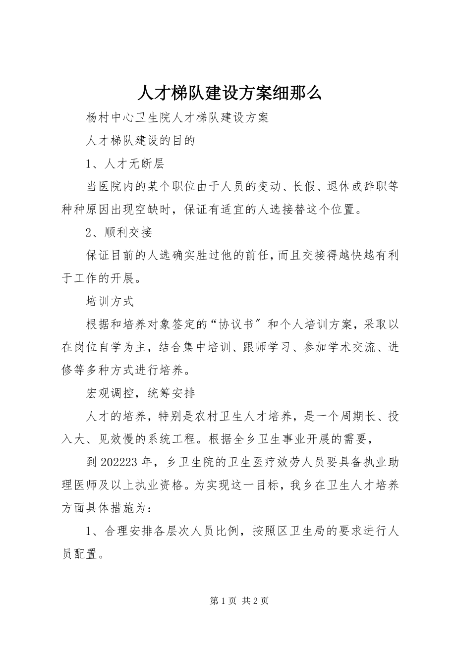 2023年人才梯队建设计划细则.docx_第1页