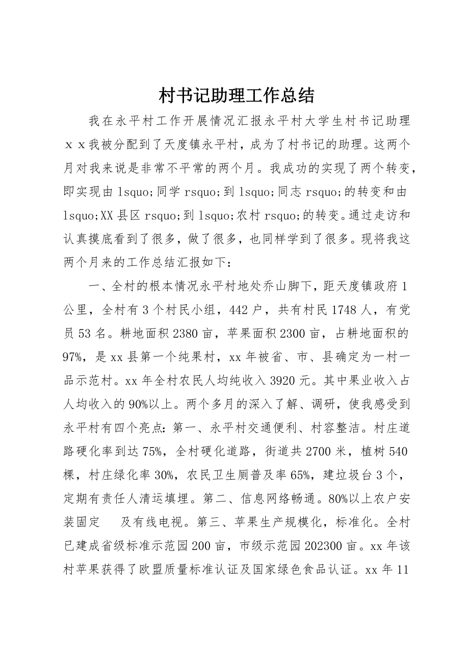 2023年村书记助理工作总结新编.docx_第1页