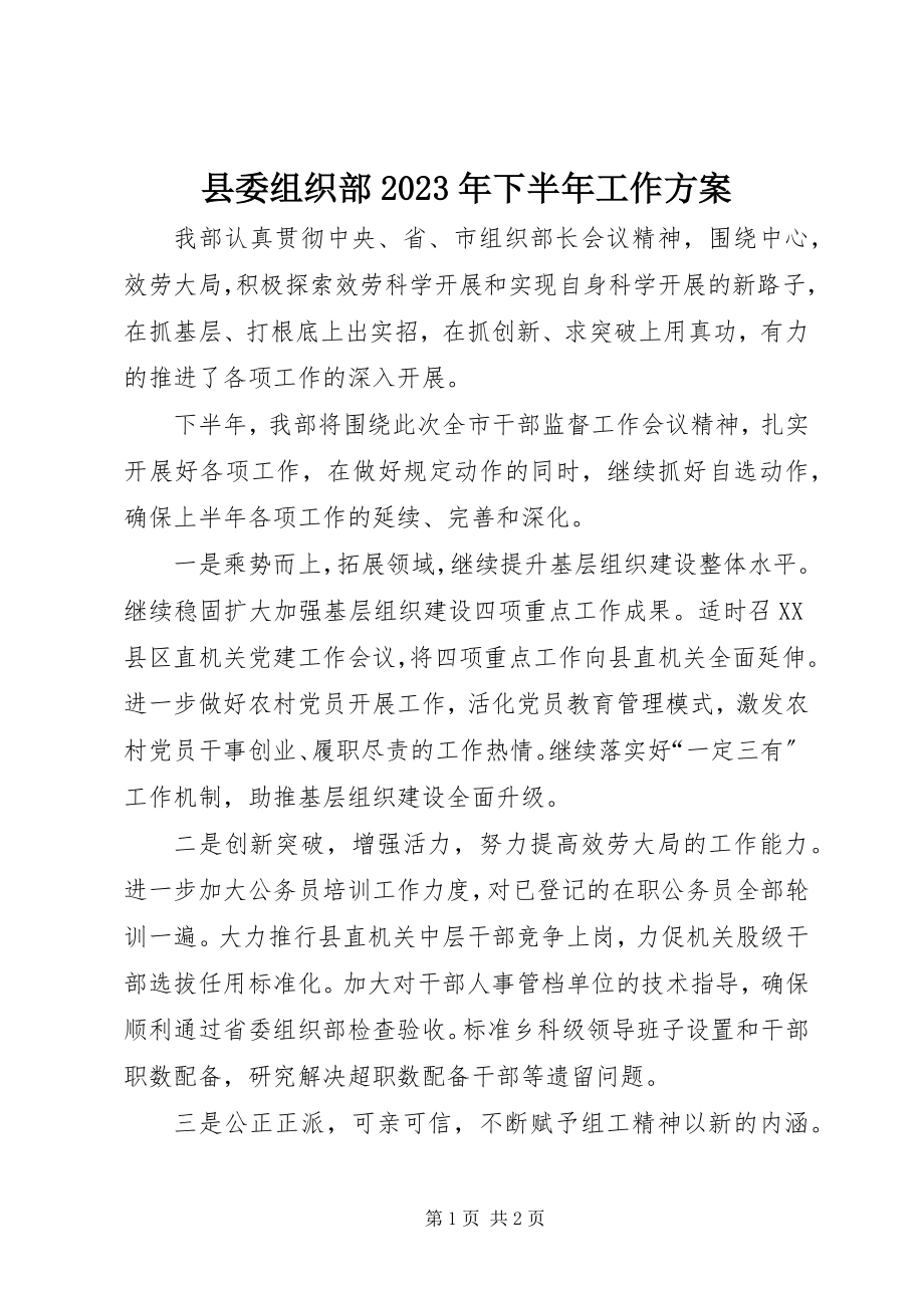 2023年县委组织部下半年工作计划3.docx_第1页