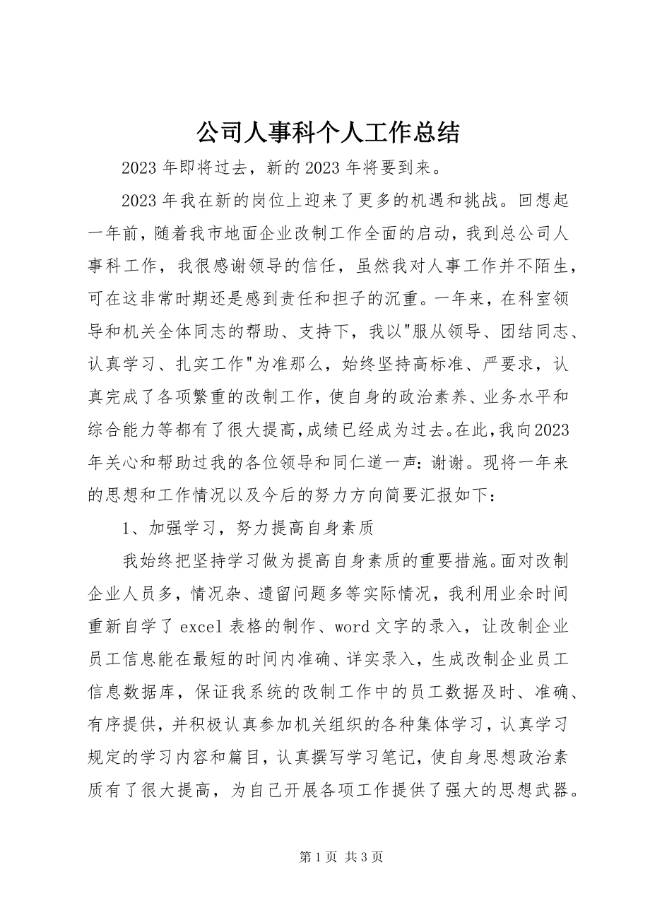 2023年公司人事科个人工作总结.docx_第1页