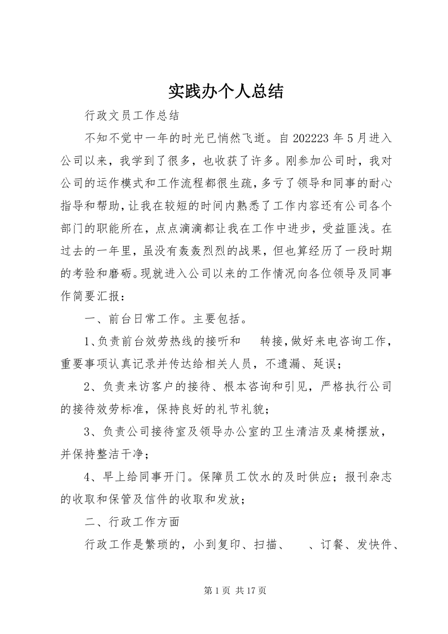 2023年实践办个人总结.docx_第1页