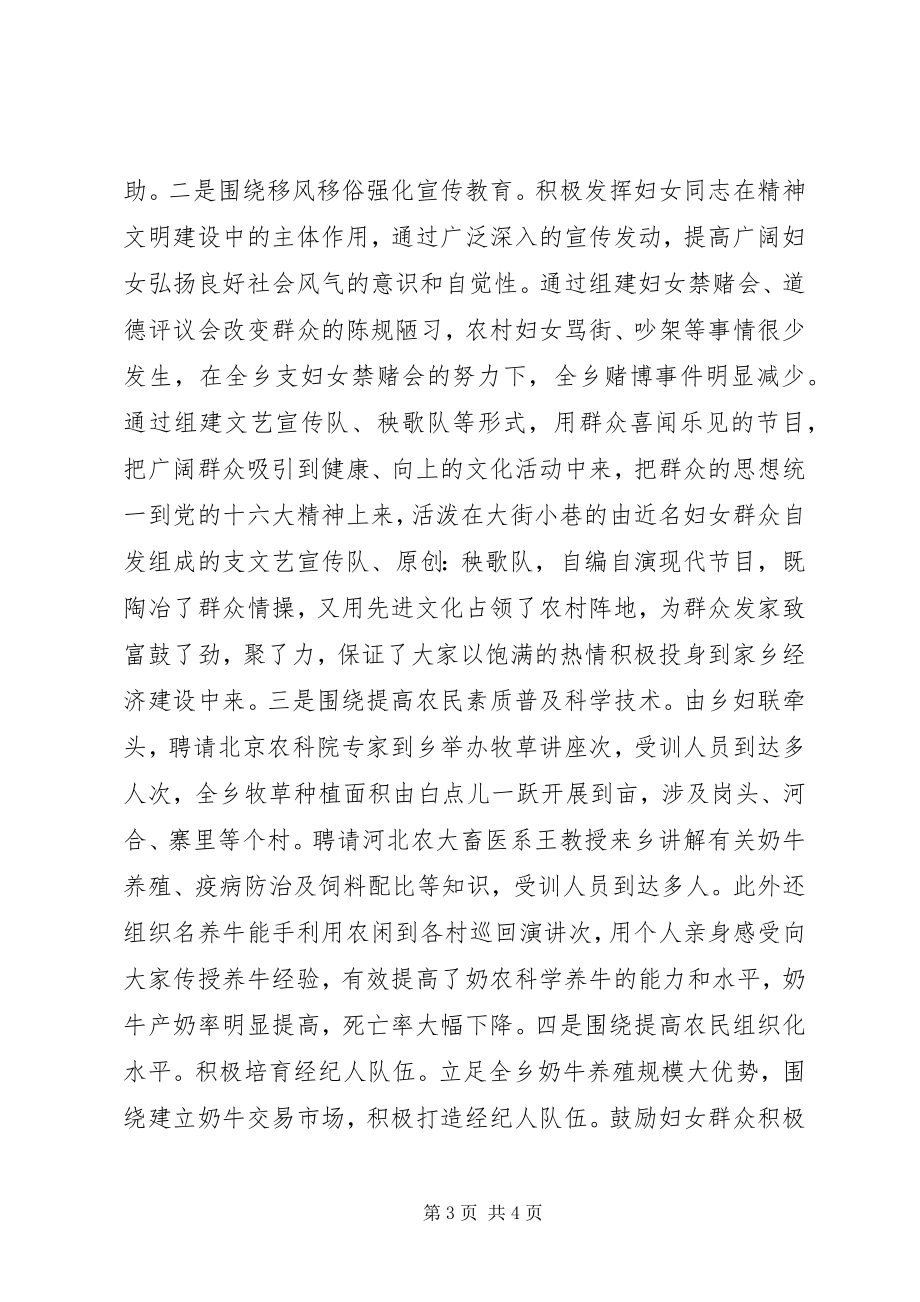 2023年乡镇妇联个人工作总结.docx_第3页