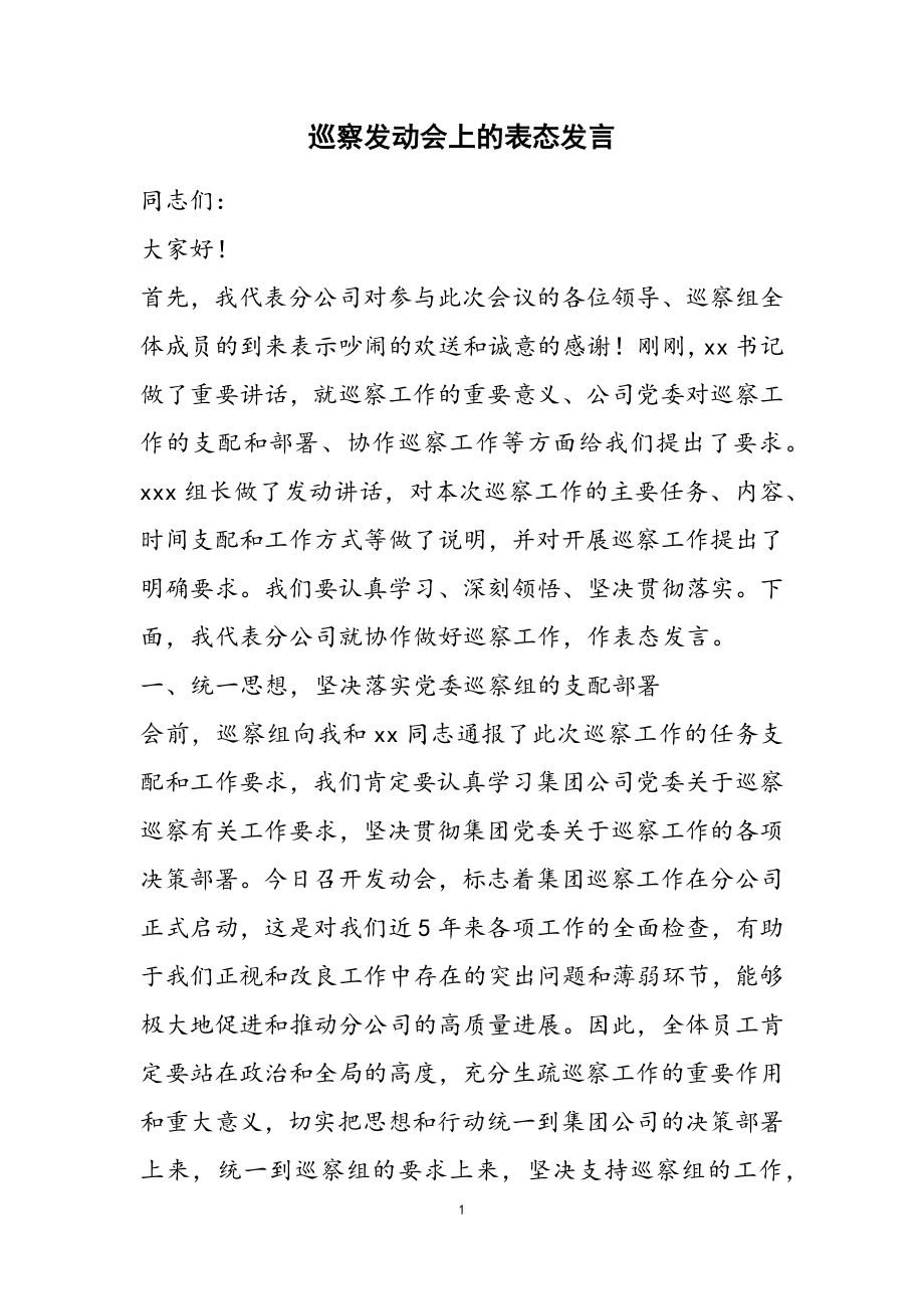 2023年巡视动员会上的表态发言.doc_第1页