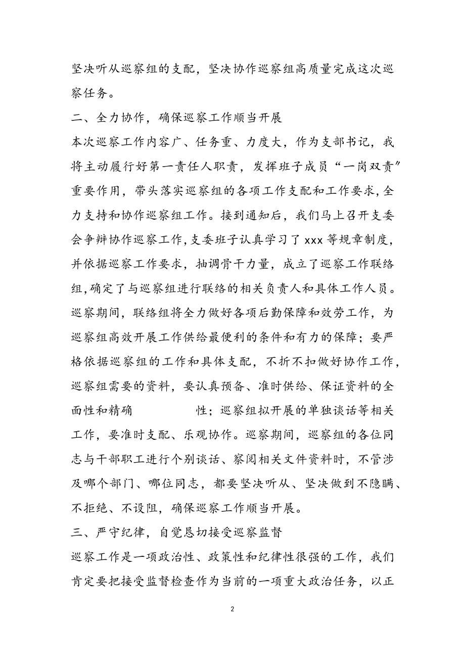 2023年巡视动员会上的表态发言.doc_第2页