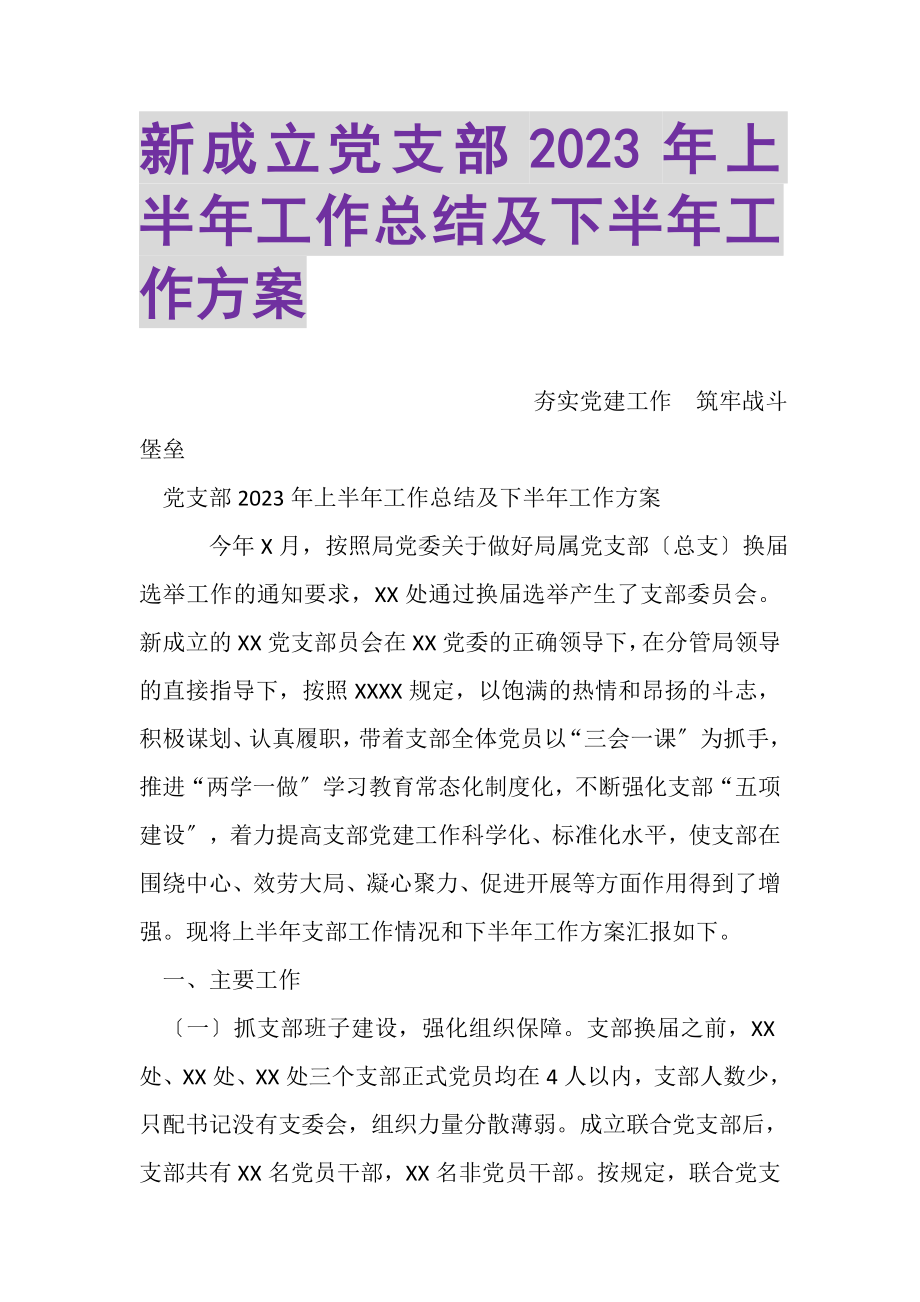 2023年新成立党支部上半年工作总结及下半年工作计划.doc_第1页