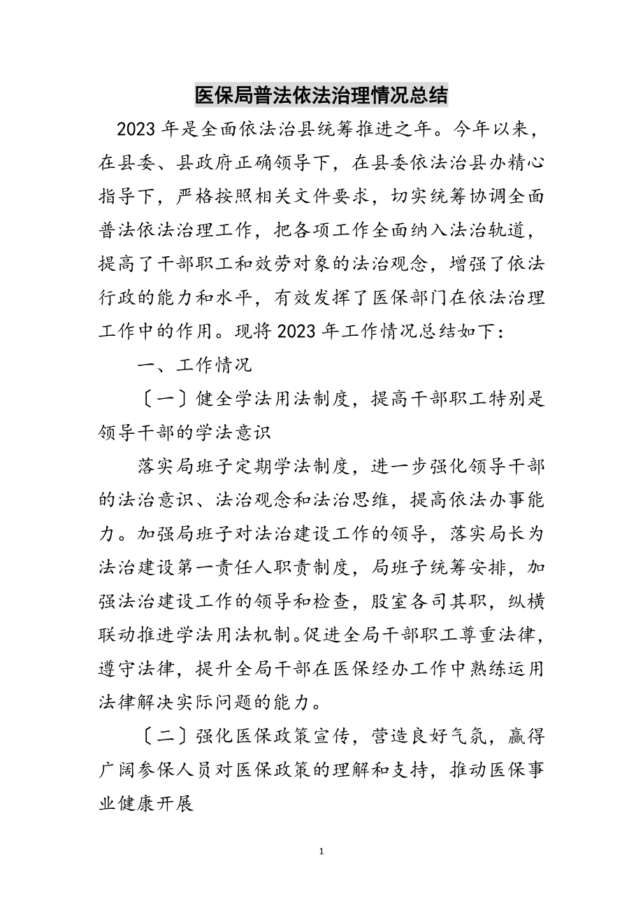 2023年医保局普法依法治理情况总结范文.doc_第1页