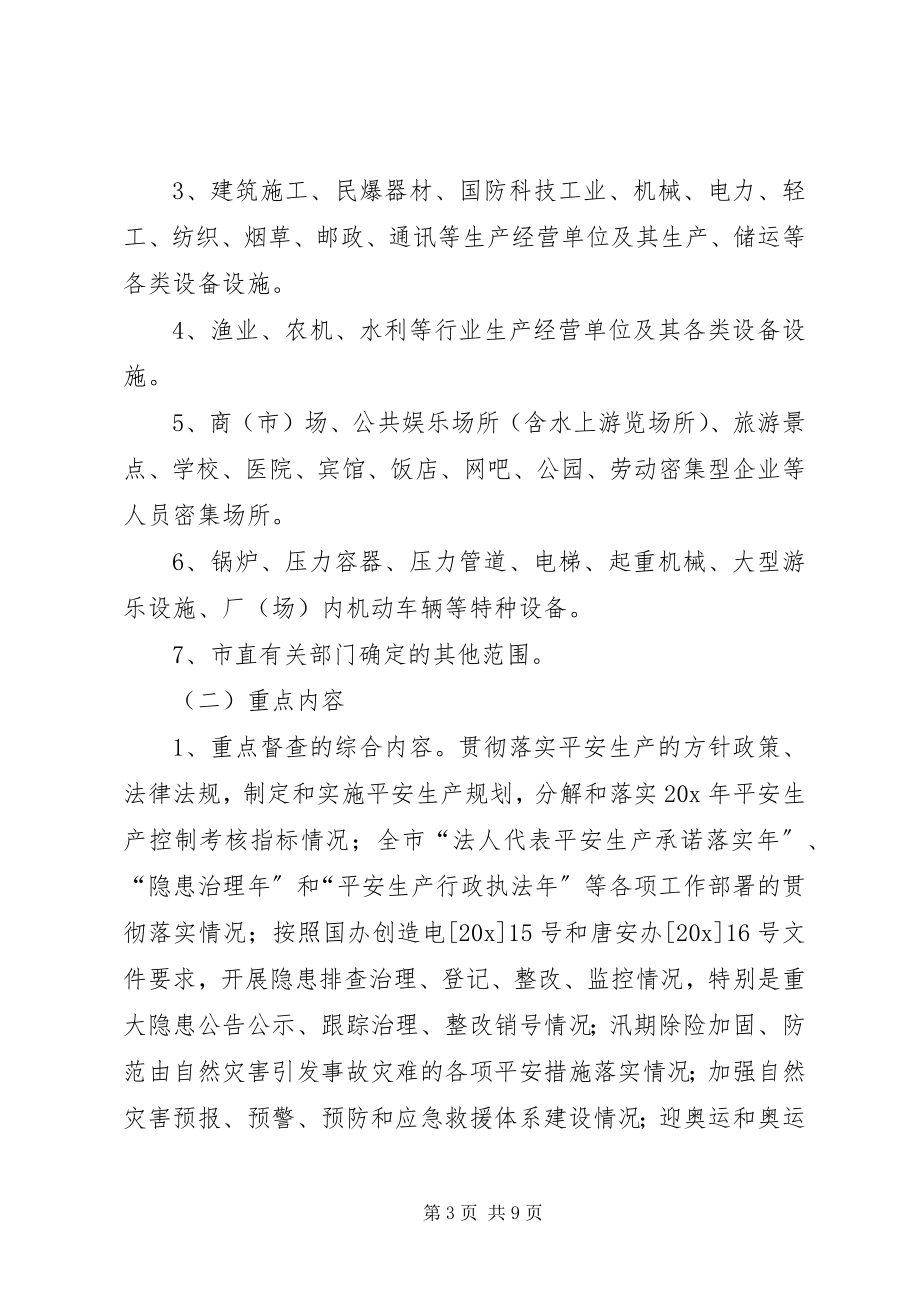 2023年市安全生产督查行动方案.docx_第3页