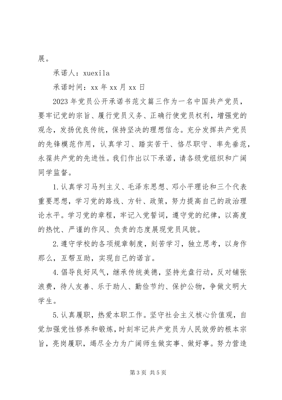 2023年党员公开承诺书表格范文.docx_第3页