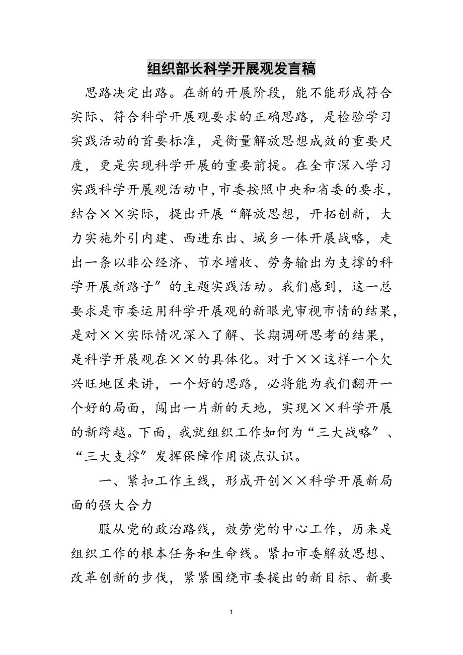 2023年组织部长科学发展观发言稿范文.doc_第1页