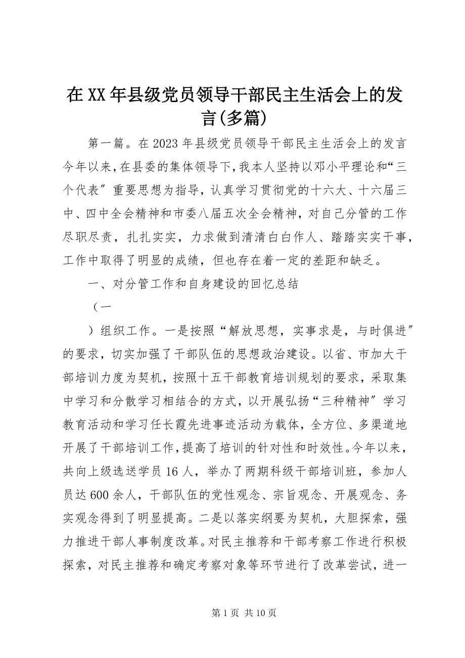 2023年在县级党员领导干部民主生活会上的讲话多篇.docx_第1页