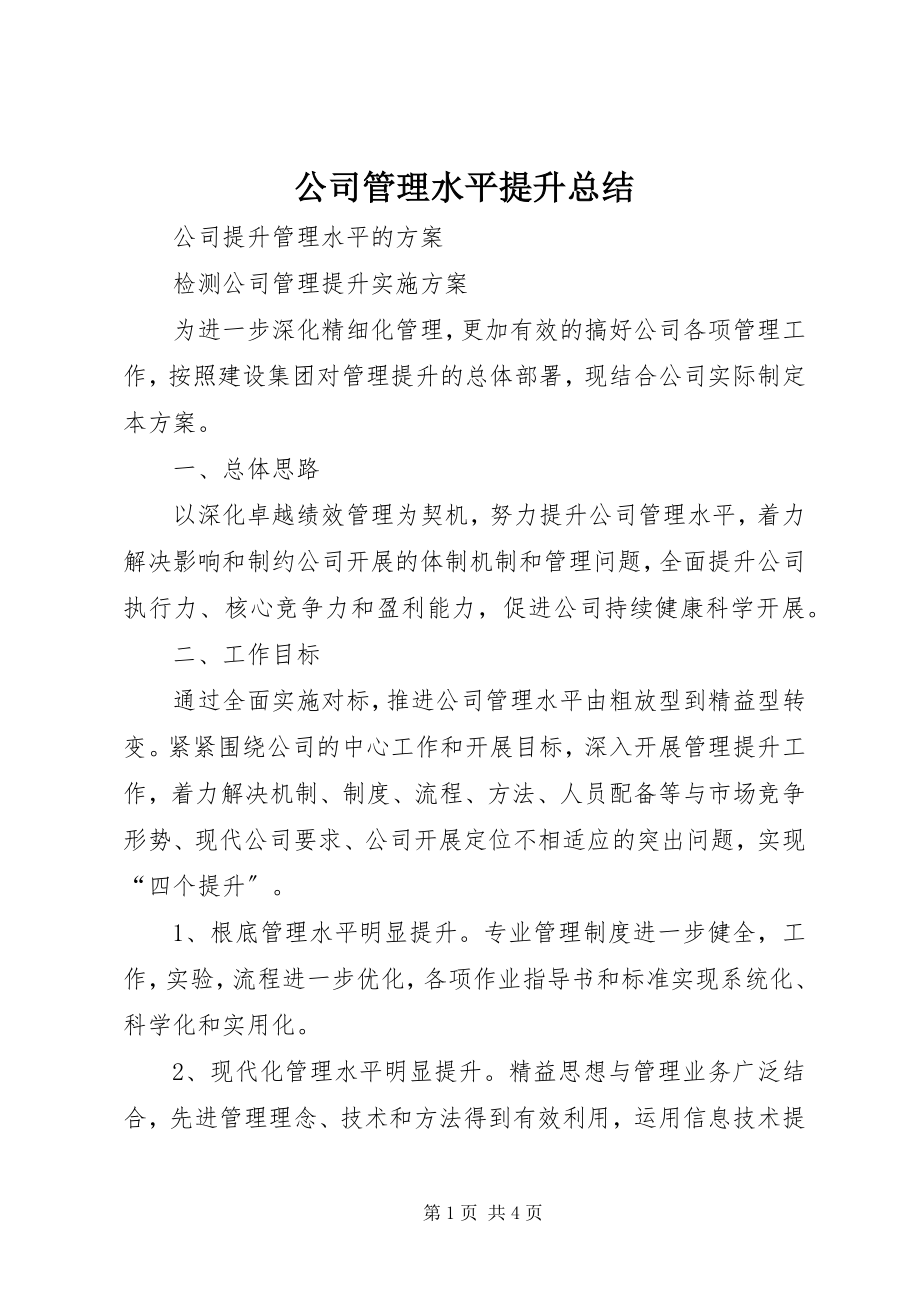 2023年公司管理水平提升总结.docx_第1页