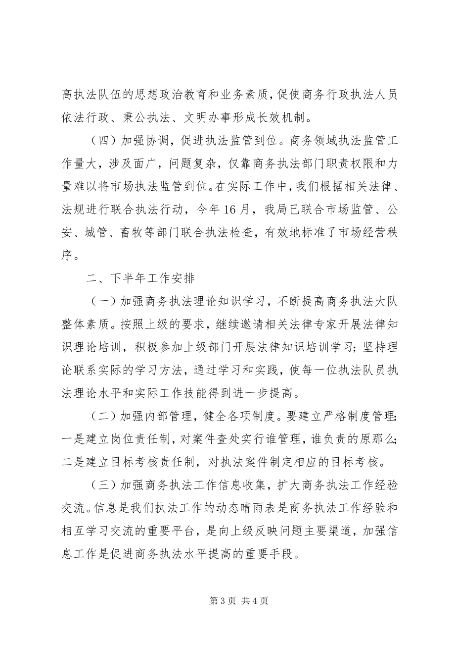 2023年县商务局上半年商务综合执法工作总结.docx_第3页