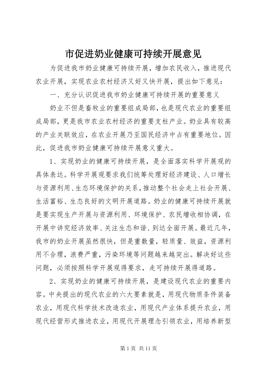 2023年市促进奶业健康可持续发展意见.docx_第1页