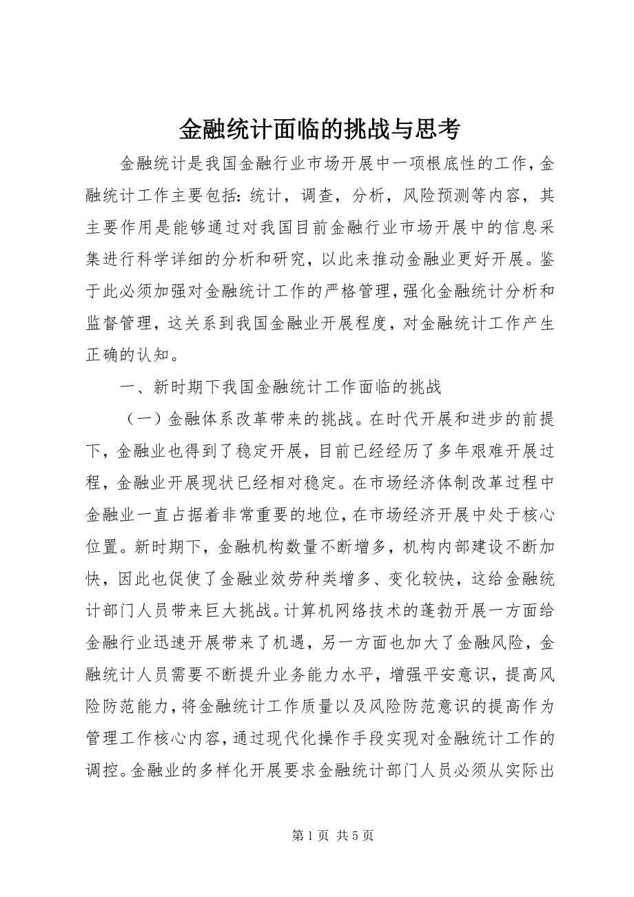 2023年金融统计面临的挑战与思考.docx_第1页