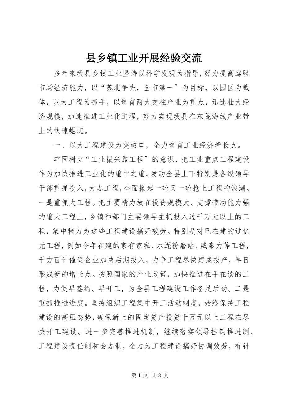 2023年县乡镇工业发展经验交流.docx_第1页