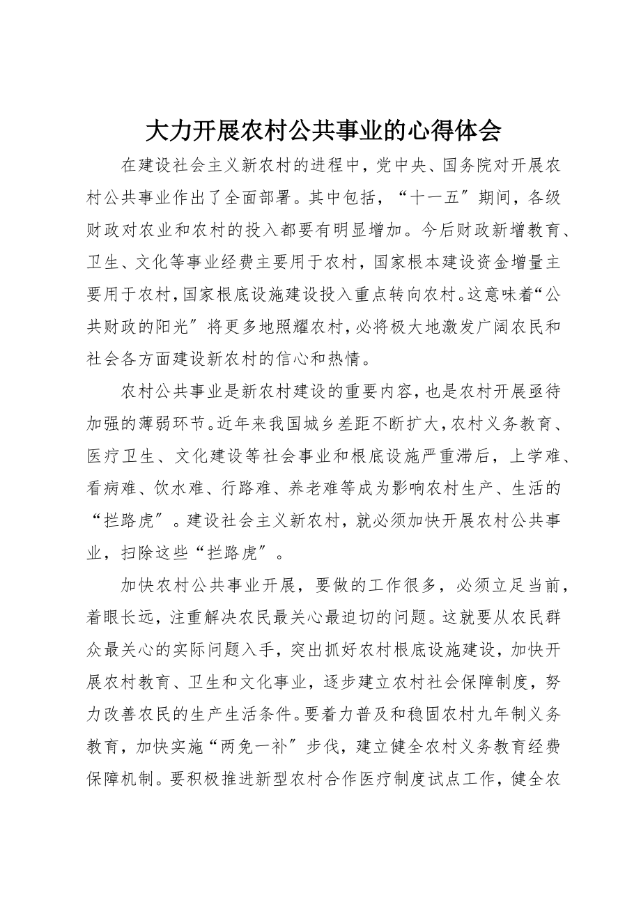 2023年大力发展农村公共事业的心得体会.docx_第1页