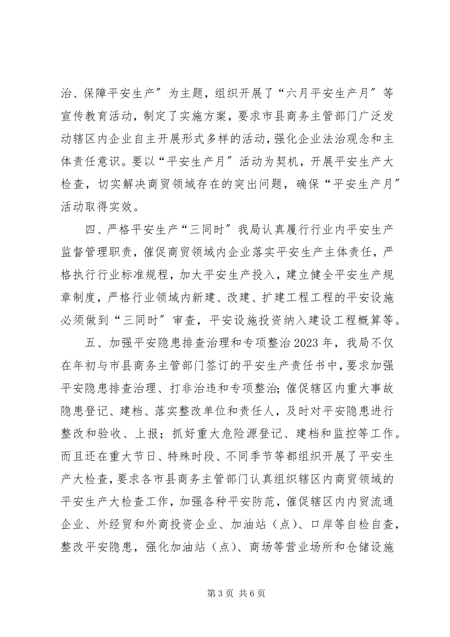 2023年商务局年度商贸领域安全生产工作总结.docx_第3页