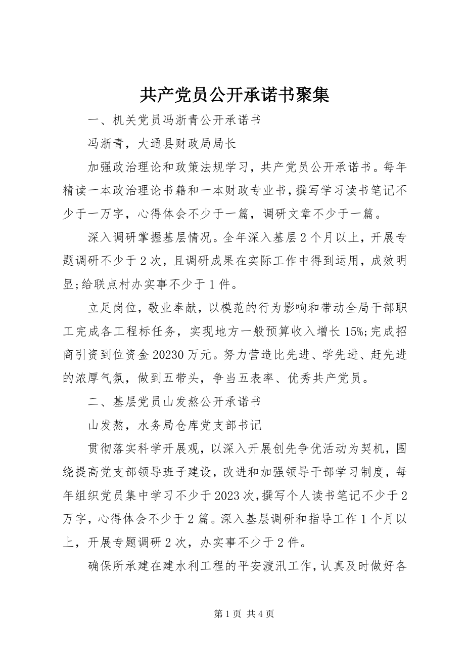 2023年共产党员公开承诺书汇集.docx_第1页