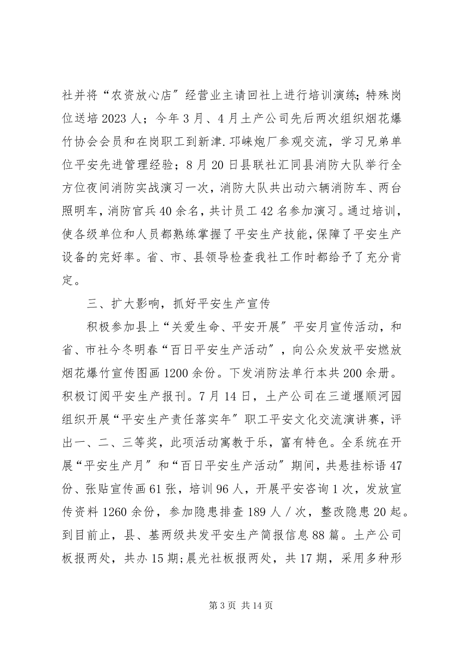 2023年供销合作社联合社年度安全生产的工作总结.docx_第3页